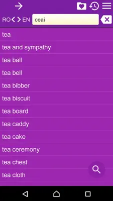 EN-RO Dictionary Free android App screenshot 6